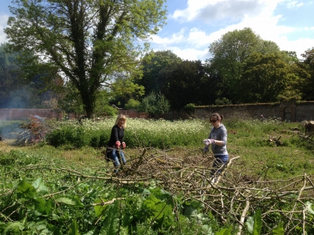 historic garden restoration - volunteers in action